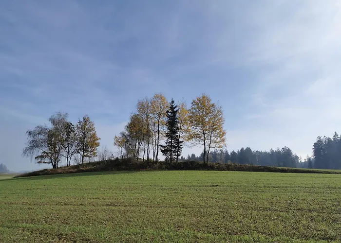 Kindererlebnis- Und Biobauernhof Hipp-Bruckner