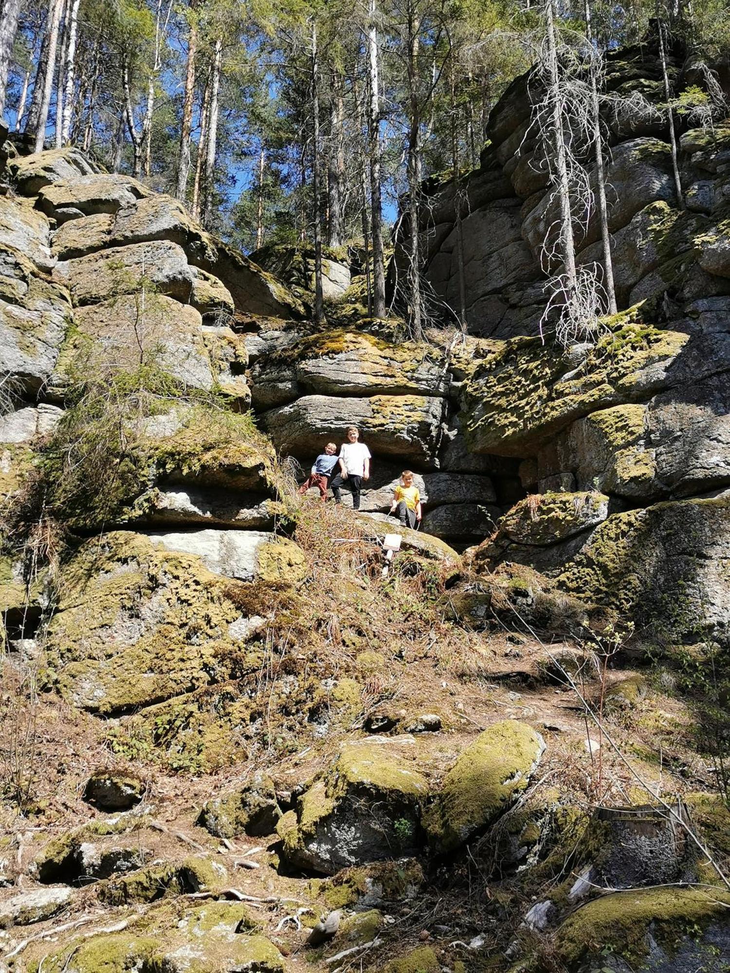 Kindererlebnis- Und Biobauernhof Hipp-bruckner * Wornharts