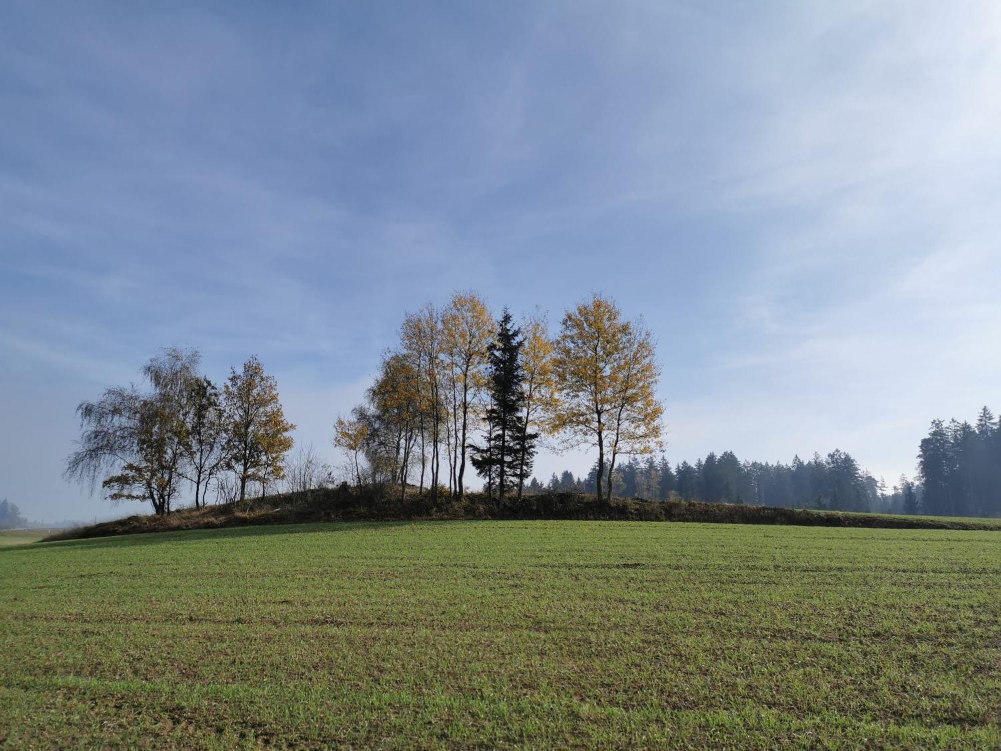 Kindererlebnis- Und Biobauernhof Hipp-bruckner