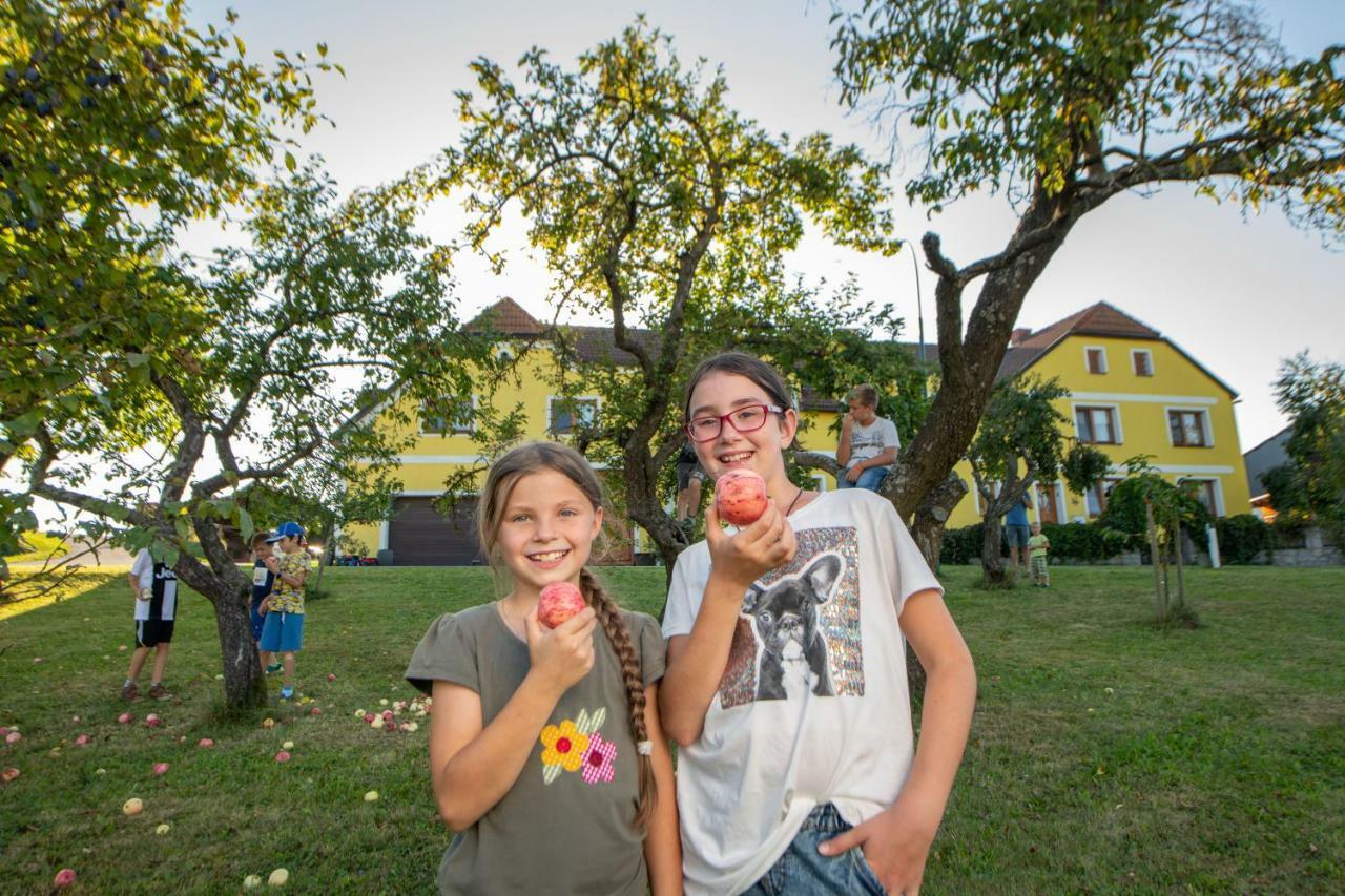 Kindererlebnis- Und Biobauernhof Hipp-bruckner Séjour à la ferme